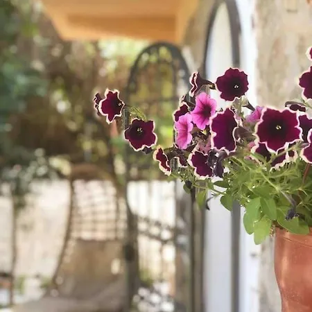 Anfora Villa Selimiye (Aegean)
