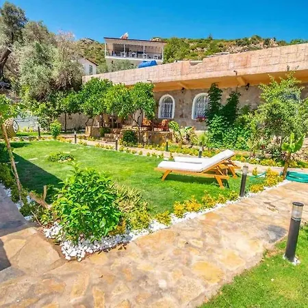 Anfora * Selimiye (Aegean)